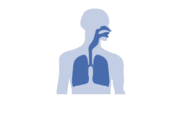 Basic Airway Management (BAM)