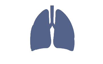 Difficult Airway Management (DAM) ™